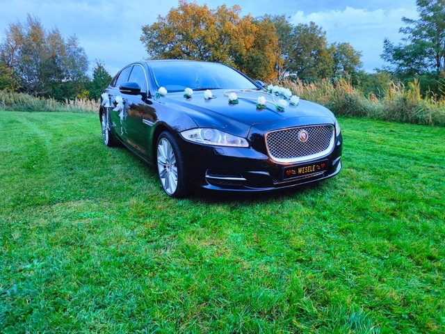 Jaguar ślubny w plenerze Dolny Śląsk